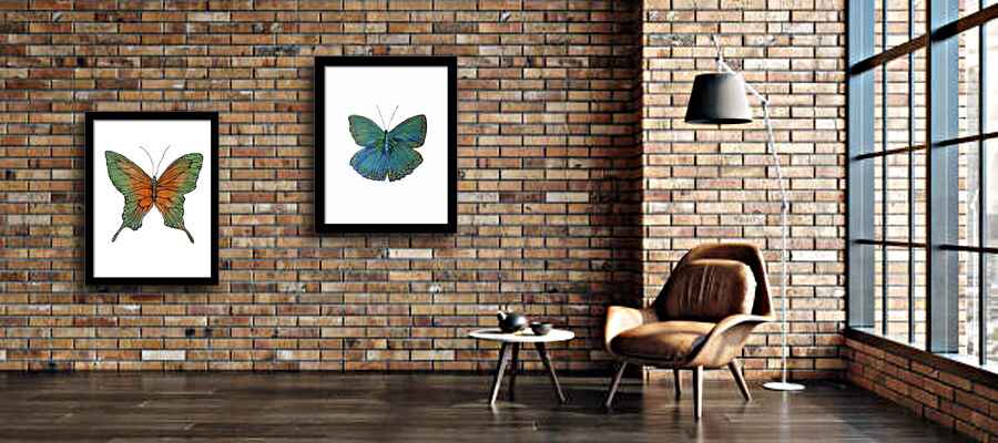 Butterfly Watercolor Framed Artwork