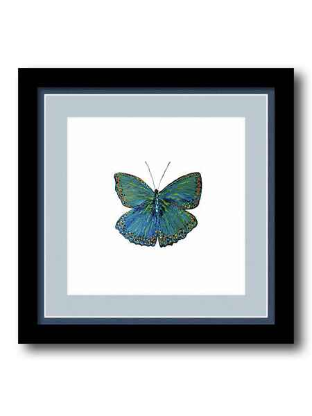 Cerulean Butterfly framed print