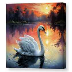 ​Graceful Swan 