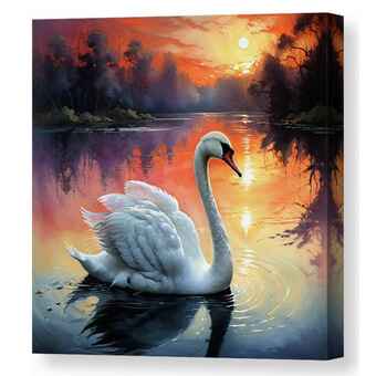 Graceful Gliding Swan at Sunset Fine Art Canvas Print