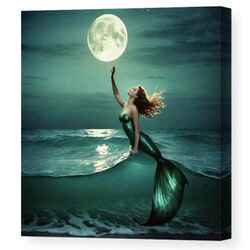 ​Full Moon Mermaid