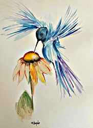 Hovering Hummingbird